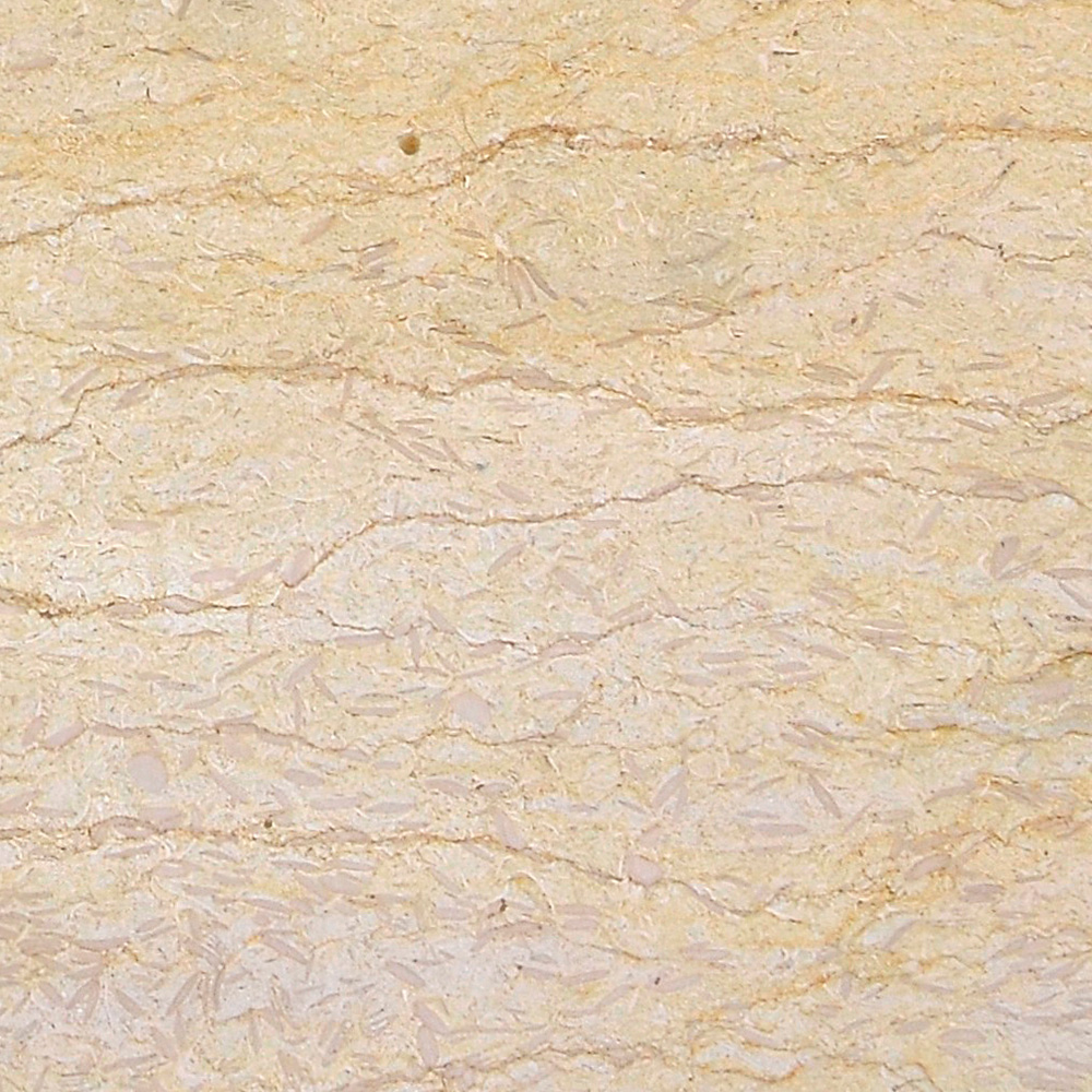 Calcar Yellow Sylvia