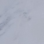 Marmura Alaska White